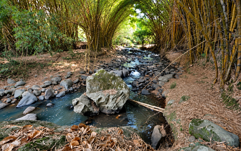 CALI SIGUE CON RACIONAMIENTO DE AGUA: RÍOS MELÉNDEZ Y CALI PERMANECEN EN NIVELES CRÍTICOS