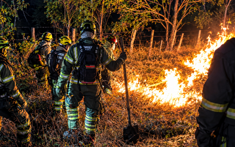 Incendios forestales mantienen en alerta a Colombia: Tolima, el departamento más afectado
