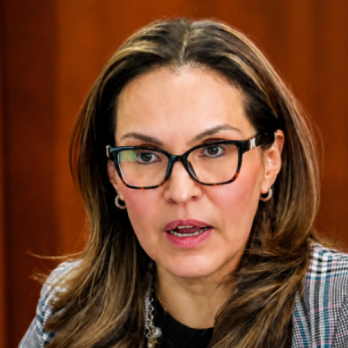 Viviane Morales renuncia
